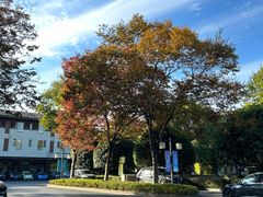 -西溪天堂·悦居