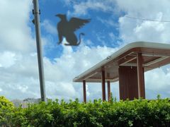 -JW万豪厨房餐厅·滨海草坪烧烤·海鲜·海景(三亚绿发山海天JW万豪酒店)