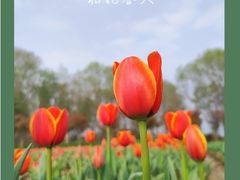 -白塔湖国家湿地公园