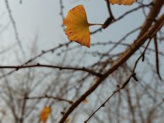 -汉景帝阳陵博物院
