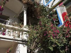 -尼玛藏家风味园(阿山食城店)