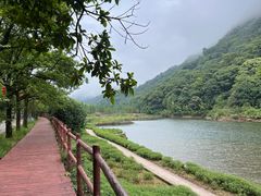 -广州市石门国家森林公园