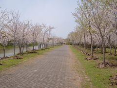 -上海海湾国家森林公园