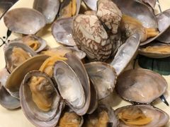 花蛤-蔚海之都·象山蒸汽海鲜(仙霞路店)