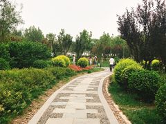 -东疆建设开发纪念公园