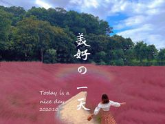 -牛岗山公园