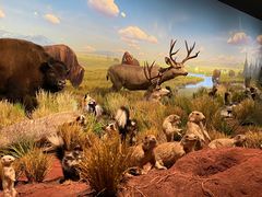 -陕西自然博物馆