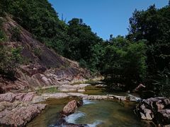 -广州白江湖森林公园