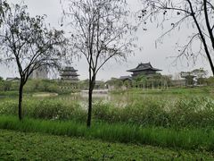 -海珠湖公园