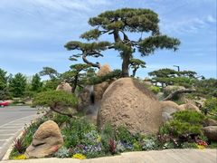 -罗红摄影艺术馆