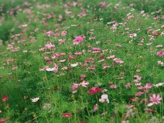 -敬亭山风景名胜区