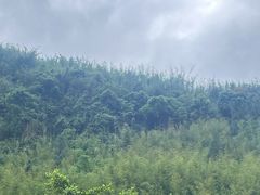 -赤水丹霞旅游区·佛光岩