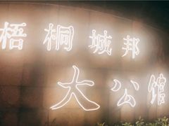 -大华梧桐墅大公馆