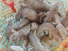 -坛南湾阿强农家乐.海鲜大排档老字号(福州地标美食店)