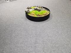 -羲和雅苑•北京烤鸭(国贸商城店)
