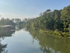 -同里国家湿地公园
