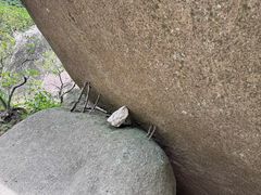 -天柱山风景区
