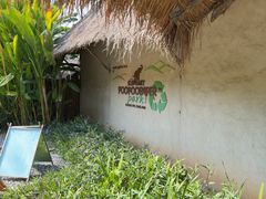 -大象粑粑造纸公园