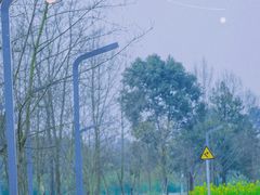 -中国天府农业博览园