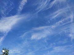 -星巴克(中远两湾城店)