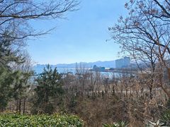 -海源公园