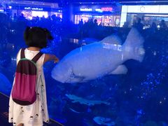 -成都浩海立方海洋公园