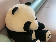 -眉州东坡(龙湖店)