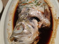 -天福苑(崇宁路店)