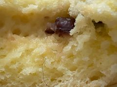 -万利隆·活力烘焙(板塘店)