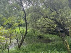 -西湖风景区-江洋畈生态公园
