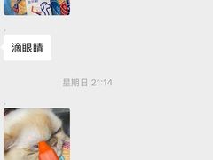 -半岛宠物医院24小时(科华中路店)