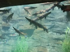 -台州海洋世界