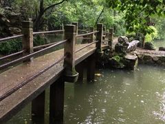 -绮园景区
