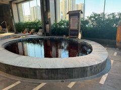 -弘安丽水温泉酒店