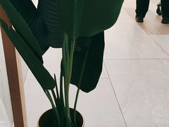 -CoCo都可(健翔桥店)