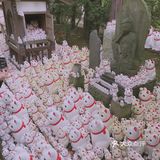 豪德寺-东京招财猫发祥地