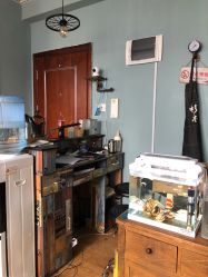 -椿树下·Tattoo纹身工作室