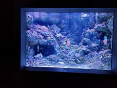 -成都浩海立方海洋公园