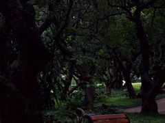 -荔香公园