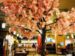 -汤泉良子(金源店)