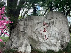 -金鸡湖桃花岛