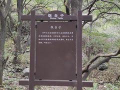 -阳台山自然风景区