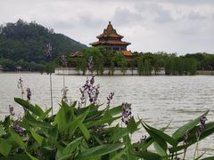 -顺峰山公园
