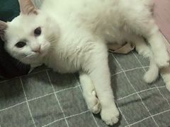 -聚盛源蒸汽海鲜火锅烤肉自助(巨川金海岸购物广场店)