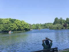 -上海共青森林公园