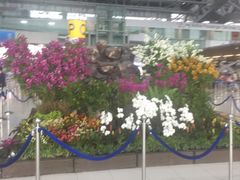-曼谷素万那普国际机场