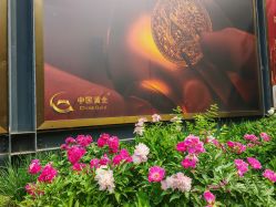 -中国黄金(北京旗舰店)