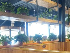-桃源村铁锅炖鱼(体育馆道店)