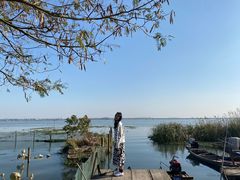 -七的湖·晚芳亭·阳澄湖农家菜·大闸蟹(莲花岛店)