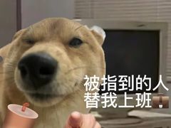 -铁真·刨冰红焖羊肉(总店)